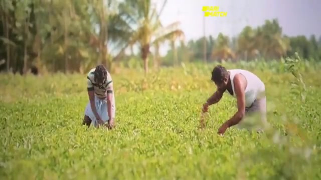 Veerayi Makkal 2024 HD Sample.mp4