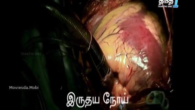 Murattu Singathin Adithadi 2024 360p HD.mp4